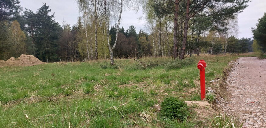 Działka Długie przy lesie