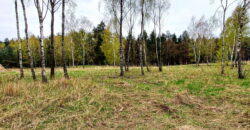 Działka Długie przy lesie