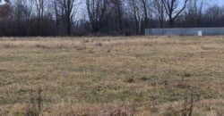 Działka Krasowiec z WZ