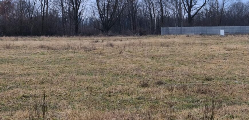 Działka Krasowiec z WZ