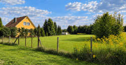 Wysoka – działka z lasem z WZ